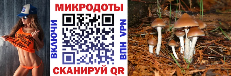 Купить  Уфа  Галлюциногенные грибы GOLDEN TEACHER 